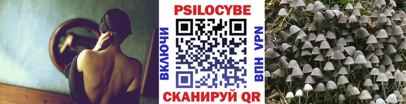 Галлюциногенные грибы GOLDEN TEACHER  Рославль 
