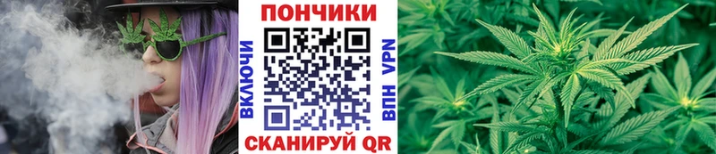 Каннабис индика Рославль