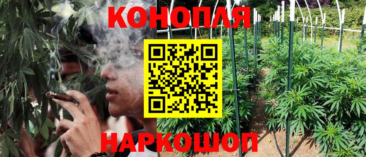 Канабис SATIVA & INDICA Рославль